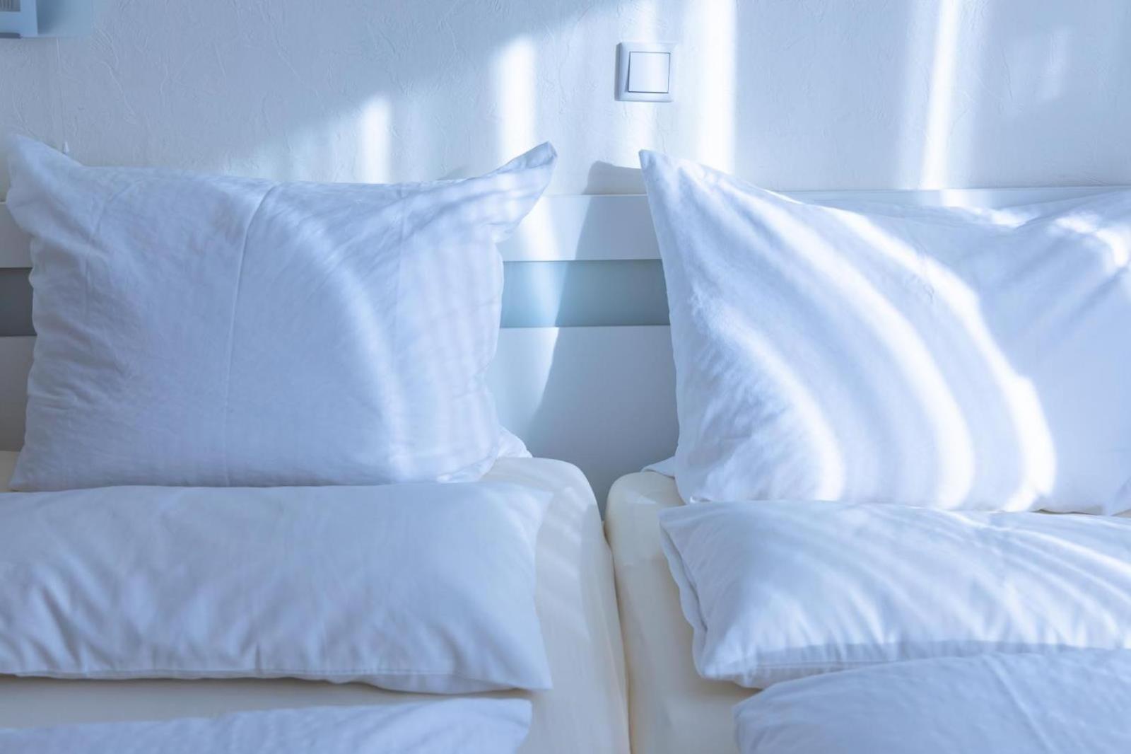 Ferienwohnung 3 Am Petersberg Neef 외부 사진